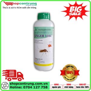 Ginger 10SC Top 1 thuốc diệt muỗi, kiến, gián...
