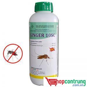 Ginger 10SC