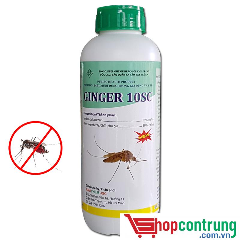 Ginger 10SC