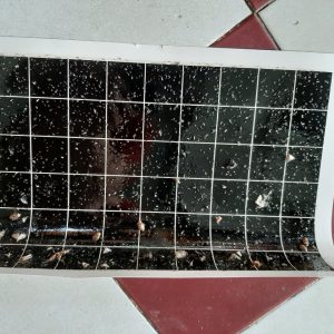 keo đèn bắt côn trùng