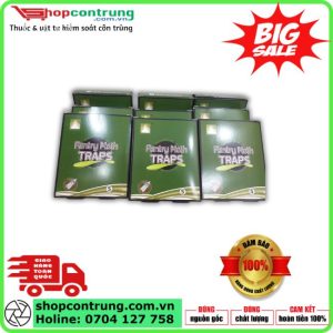 Keo bẫy ngài-Bướm (1 hộp 5 bẫy)