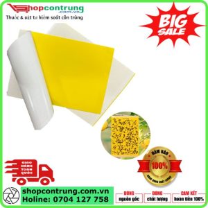 Tấm keo vàng bẫy côn trùng hai mặt (keo sử dụng trong nông nghiệp)