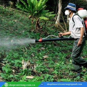 ALÉ 10SC thuốc diệt muỗi y tế