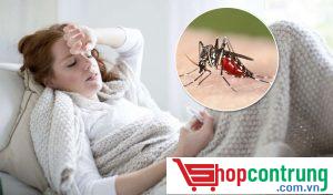 Bệnh sốt rét