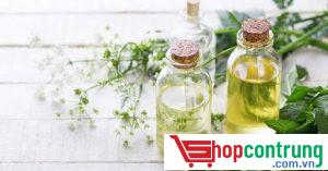 Chống muỗi bằng tinh dầu