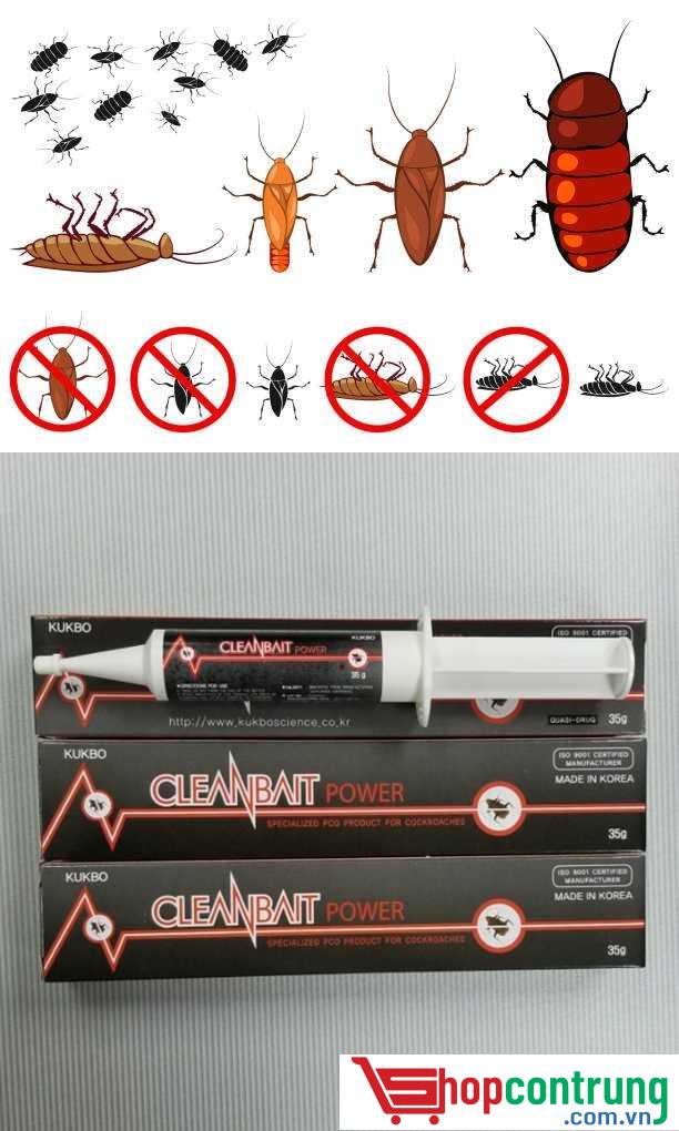 Cleanbait Power diệt gián hiệu quả