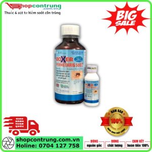 Thuốc Diệt Muỗi Boxer Permethrin 50EC – Giải Pháp Hiệu Quả Trong Kiểm Soát Muỗi Và Côn Trùng Gây Hại