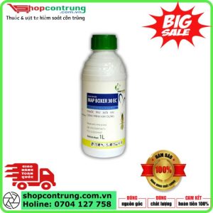 Thuốc Diệt Mối Map Boxer 30EC – Diệt Mối Tận Gốc, Bảo Vệ Công Trình Hiệu Quả