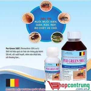 Thuốc diệt côn trùng Per Green 50EC