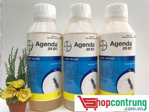 agenda 25EC