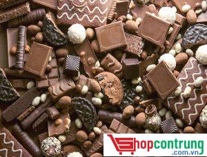 chocolate làm muỗi ''bối rối''
