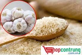 diệt mọt bằng tỏi