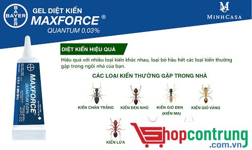 gel diệt kiến
