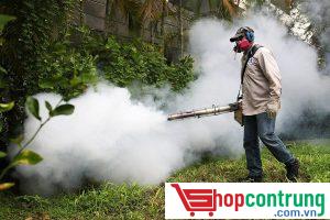 phun thuốc Ginger 10SC dạng khói