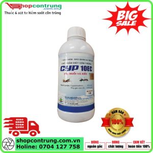 Thuốc Diệt Muỗi Cyp 10EC – Hiệu Quả Nhanh, An Toàn Cho Sức Khỏe Gia Đình