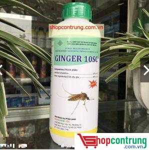 thuốc ginger 10ec