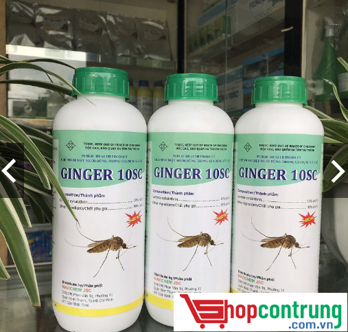 thuốc Ginger 10SC