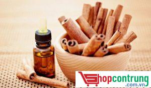 Đuổi côn trùng bằng quế
