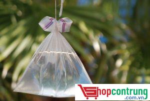 Đuổi ruồi bằng túi nilon đựng nước