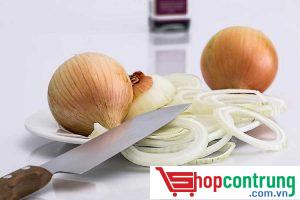 Cách đuổi gián hiệu quả bằng hành tây