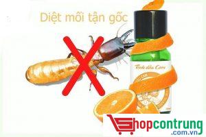 DIỆT MỐI BẰNG TINH DẦU