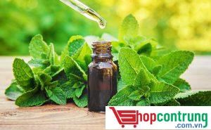 Lá bạc hà hoặc tinh dầu bạc hà
