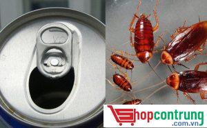 Mẹo diệt gián bằng lon bia uống dở