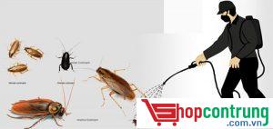 phun thuốc Alpha Cypermethrin diệt côn trung