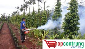 thành phần trong thuốc diệt côn trùng