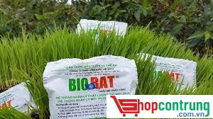 Thuốc diệt chuột BIORAT trên lúa