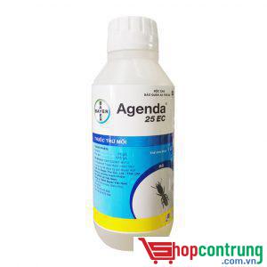 Agenda 25EC