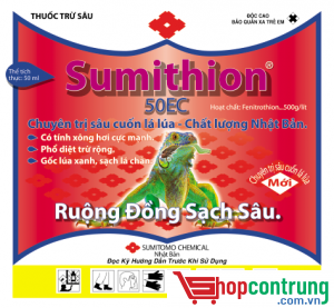 Thuốc xông mọt