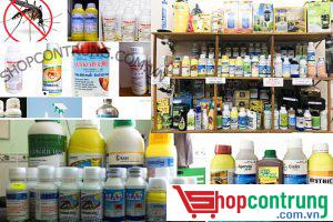 CỬA HÀNG THUỐC DIỆT CÔN TRÙNG THỦ ĐỨC