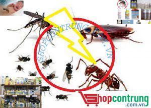 THUỐC DIỆT CÔN TRÙNG Q.8