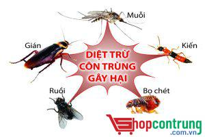 thuốc diệt côn trùng