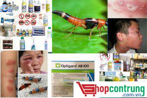 thuốc diệt kiến 3 khoang