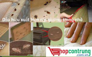 Dấu hiệu nhận biết rệp giường xuất hiện trong nhà