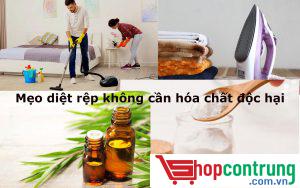 Mẹo diệt rệp giường không cần hóa chất độc hại