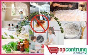 mẹo diệt rệp giường không cần hóa chất