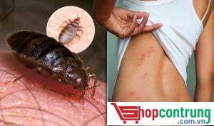 tác hại của rệp đối với con người