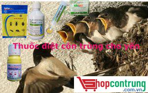 Thuốc diệt côn trùng cho yến