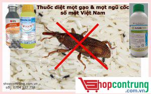 Thuốc diệt mọt gạo tại Cần Thơ