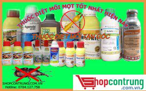 Thuốc diệt mối mọt tốt nhất hiện nay tại tp HCM