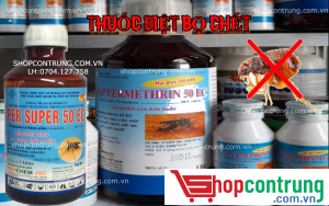 thuốc diệt bọ chét