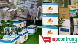 thuốc diệt chuột tại Long An