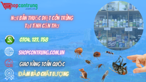 Mua thuốc diệt côn trùng tại tỉnh Cần Thơ