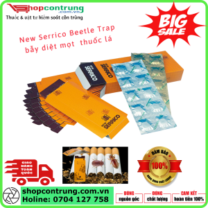 New Serrico Beetle Trap bẫy diệt mọt thuốc lá