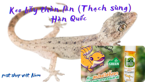 Chai xịt đuổi thằn lằn Green House