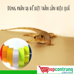 Dùng phản xạ để diệt thằn lằn hiệu quả