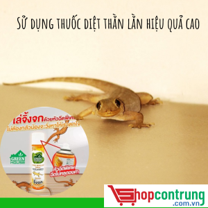 Sử dụng thuốc diệt thằn lằn hiệu quả cao